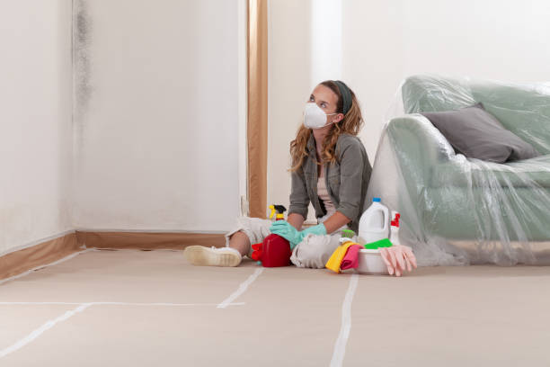 Reliable Basement Mold Remediation contractor in Haslett, MI by Car Mold Remediation